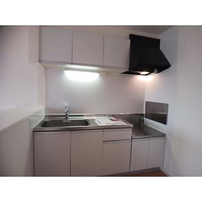 フレスクーラ蟻ヶ崎Ⅲ 201【管理NO：1-018401603-02010】 ★家具家電は申し込み後に搬入しますの物件画像
