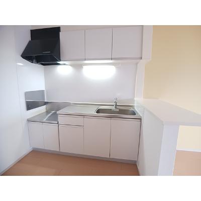 フレスクーラ蟻ヶ崎Ⅱ 205【管理NO：1-018401602-02050】 ★家具家電は申し込み後に搬入しますの物件画像