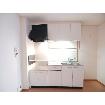 カメリアコート 102【管理NO：1-014689501-01020】 ★家具家電は申し込み後に搬入します★の物件画像