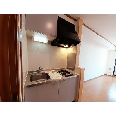 ボニート 203【管理NO：1-011234101-02030】 ★家具家電は申し込み後に搬入しますの物件画像