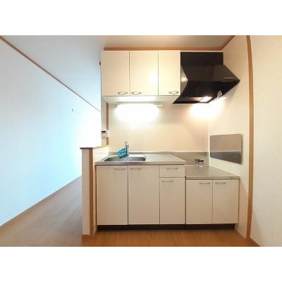 サニーパティオⅡ 201【管理NO：1-014148501-02010】 ★家具家電は申し込み後に搬入しますの物件画像