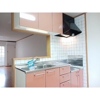 プルミエ・アムールⅢ 101【管理NO：1-012435201-01010】 ★家具家電は申し込み後に搬入します★の物件画像