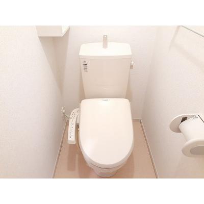 フェリス 202【管理NO：1-019857401-02020】 ★家具家電は申し込み後に搬入しますの物件画像