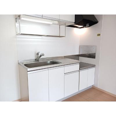 エスポア－ル　井波 203【管理NO：1-016662601-02030】 ★家具家電は申し込み後に搬入しますの物件画像
