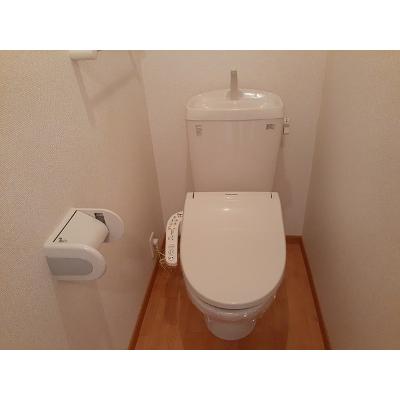 ファイン・ハル・エ－ル　Ⅳ 203【管理NO：1-015341901-02030】 ★家具家電は申し込み後に搬入しますの物件画像