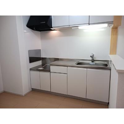 フェリス 205【管理NO：1-019857401-02050】 ★家具家電は申し込み後に搬入しますの物件画像