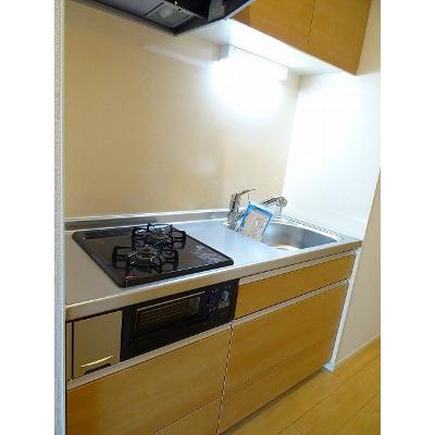 サラスバティⅡ 301【管理NO：1-021734501-03010】 ★家具家電は申し込み後に搬入しますの物件画像