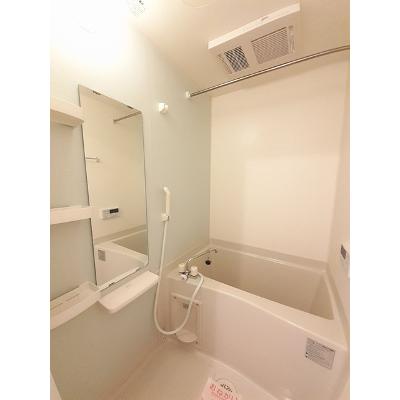 パインツリーフォレスト 101【管理NO：1-019229401-01010】 ★家具家電は申し込み後に搬入しますの物件画像