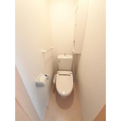 パインツリーフォレスト 101【管理NO：1-019229401-01010】 ★家具家電は申し込み後に搬入しますの物件画像