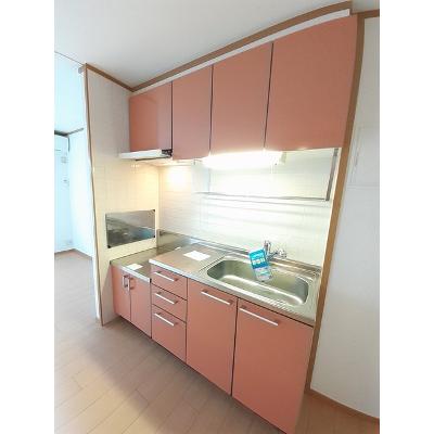 グラウクスⅡ 204【管理NO：1-009847502-02040】 ★家具家電は申し込み後に搬入します 2026年09月中旬入居可能の物件画像