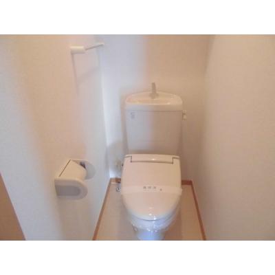 ガーデニア五番館 102【管理NO：1-014163601-01020】 ★家具家電は申し込み後に搬入します 2026年08月上旬入居可能の物件画像