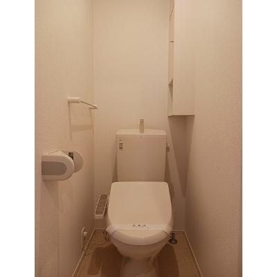 プリムローズⅡ 203【管理NO：1-023269601-02030】 2026年08月上旬入居可能の物件画像