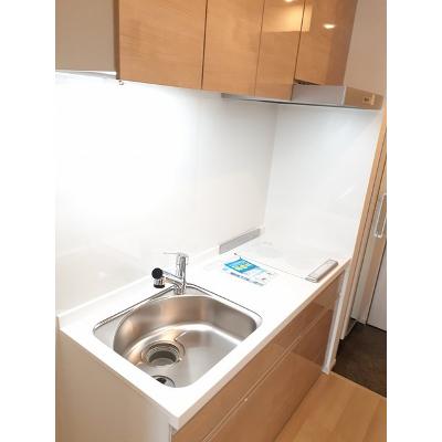 リバーバッグ　Ⅱ 302【管理NO：1-027398001-03020】 ★家具家電は申し込み後に搬入します 2026年08月中旬入居可能の物件画像