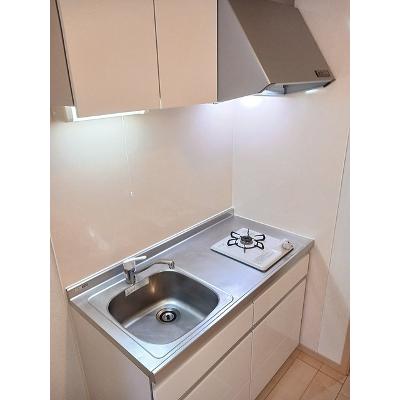 リブェールＳＨＩＮＯⅡ 103【管理NO：1-017879301-01030】 ★家具家電は申し込み後に搬入しますの物件画像