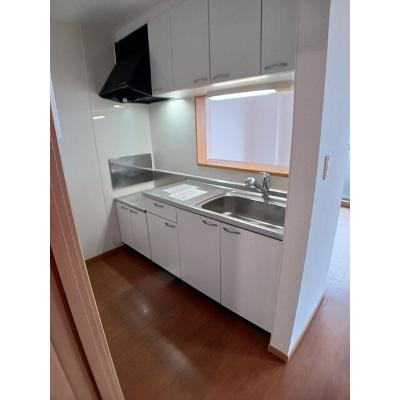 パラッツオ 304【管理NO：1-014280201-03040】 ★家具家電は申し込み後に搬入しますの物件画像