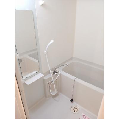 シェーネスベルク 305【管理NO：1-013381701-03050】 ★家具家電は申し込み後に搬入します 2026年07月下旬入居可能の物件画像