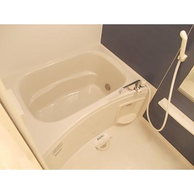 エテルノ　カーサ 202【管理NO：1-015464001-02020】 ★家具家電は申し込み後に搬入します★ ★2026年08月上旬入居可能★の物件画像