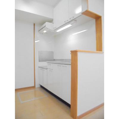 プリムローズＹ 101【管理NO：1-014968601-01010】 ★家具家電は申し込み後に搬入します 2026年07月下旬入居可能の物件画像