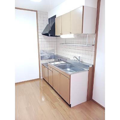 エレガントマーシュ 203【管理NO：1-010049301-02030】 ★家具家電は申し込み後に搬入します★の物件画像