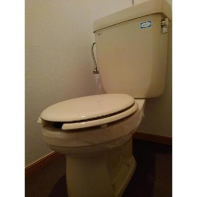 メープルファームⅠ 203【管理NO：1-005381101-02030】 ★家具家電は申し込み後に搬入します★の物件画像