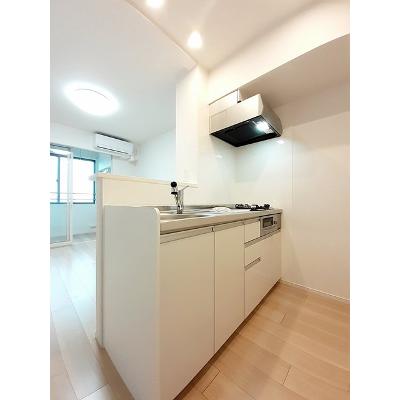 セレ　グレージュ 302【管理NO：1-026187801-03020】 ★家具家電は申し込み後に搬入しますの物件画像