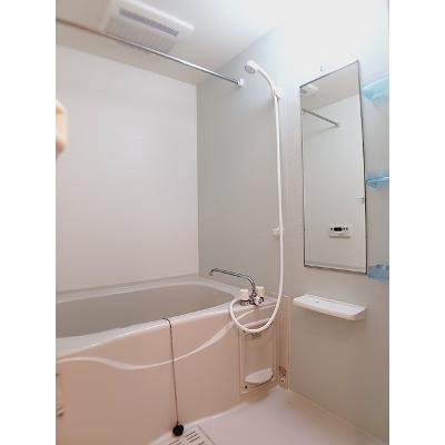 シャンドコリーヌ 105【管理NO：1-017349401-01040】 ★家具家電は申し込み後に搬入します★の物件画像