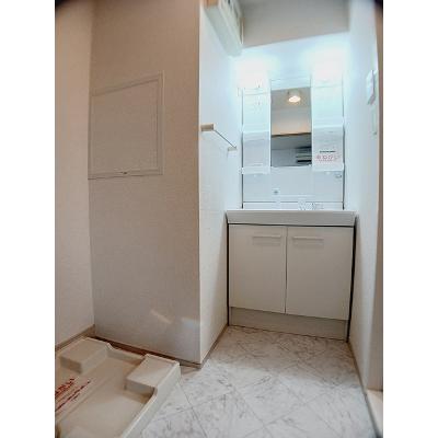 ルラール　アドバンス 303【管理NO：1-017099001-03030】 ★家具家電は申し込み後に搬入しますの物件画像
