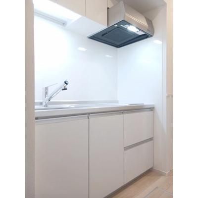 ゴールドリング船越南 103【管理NO：1-027861801-01030】 ★家具家電は申し込み後に搬入しますの物件画像