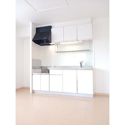 ヒーリング　ハート 201【管理NO：1-016511101-02010】 ★家具家電は申し込み後に搬入します★の物件画像