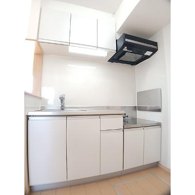 セレノ　パラッツオ 105【管理NO：1-016364301-01040】 ★家具家電は申し込み後に搬入します★の物件画像
