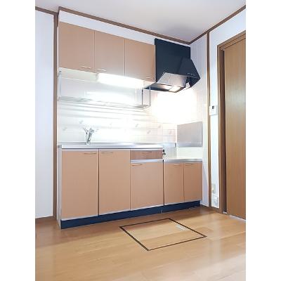 アルビオン　Ｅ 102【管理NO：1-011569802-01020】 ★家具家電は申し込み後に搬入します★の物件画像