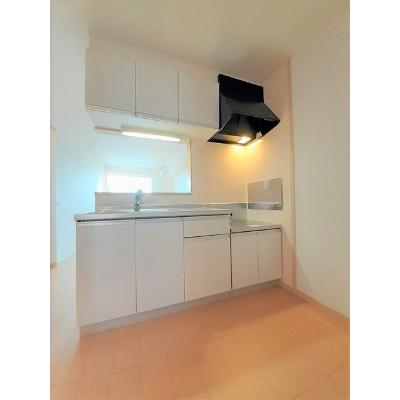 リス・ブラン 207【管理NO：1-015699601-02060】 ★家具家電は申し込み後に搬入します★の物件画像