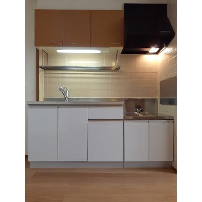 グリーンテラスＮａｇａｎｏ　Ａ 202【管理NO：1-010535901-02020】 ★家具家電は申し込み後に搬入します★の物件画像
