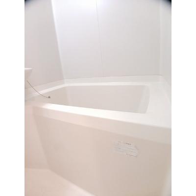 メゾンドパストラルＡ 203【管理NO：1-002060601-02030】 ★家具家電は申し込み後に搬入します★の物件画像