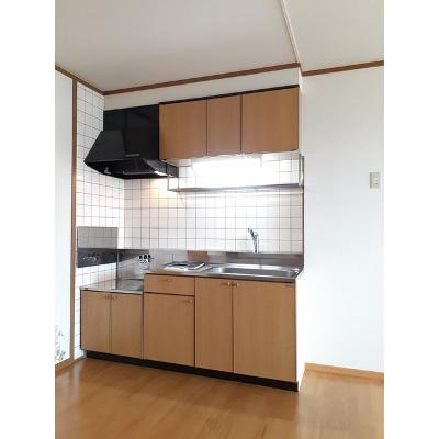 ニュークレストール内藤 201【管理NO：1-009426701-02010】 ★家具家電は申し込み後に搬入しますの物件画像