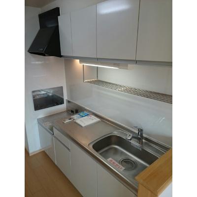 マルベリーコートⅡ 202【管理NO：1-016671001-02020】 ★家具家電は申し込み後に搬入しますの物件画像