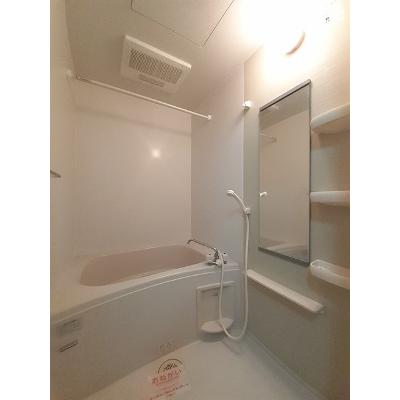 プラシード 102【管理NO：1-013110201-01020】 ★家具家電は申し込み後に搬入します 2026年07月中旬入居可能の物件画像