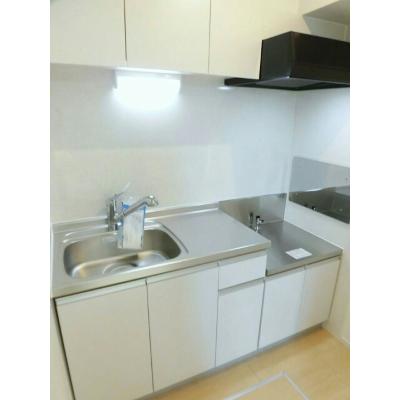 フェリス大岩 101【管理NO：1-023636601-01010】 ★家具家電は申し込み後に搬入します 2026年08月上旬入居可能の物件画像