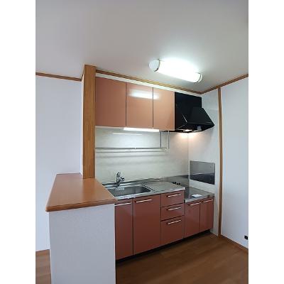 シンシア 205【管理NO：1-012673001-02040】 ★家具家電は申し込み後に搬入します★の物件画像