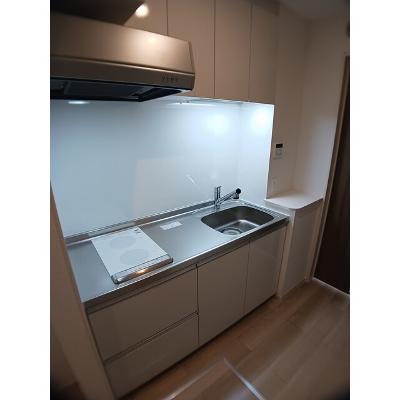 ラトゥール・エヌ 102【管理NO：1-027469401-01020】 ★家具家電は申し込み後に搬入しますの物件画像