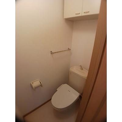 フィオーレ 203【管理NO：1-012512501-02030】 ★家具家電は申し込み後に搬入しますの物件画像