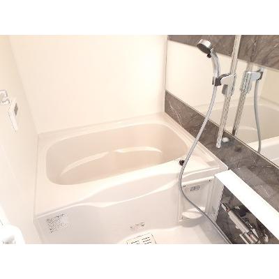 カランコエ川並 505【管理NO：1-025719101-05040】の物件画像