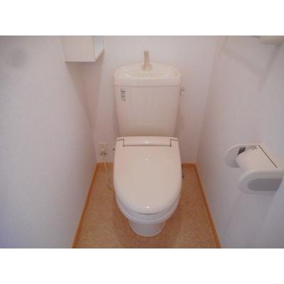 プラシード　Ⅱ 201【管理NO：1-016266501-02010】 ★家具家電は申し込み後に搬入しますの物件画像