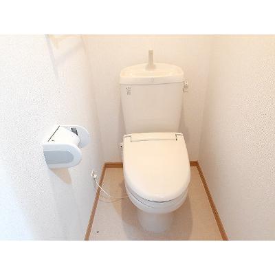 カーサ　アウローラⅡ 203【管理NO：1-014132302-02030】 ★家具家電は申し込み後に搬入します 2026年07月上旬入居可能の物件画像