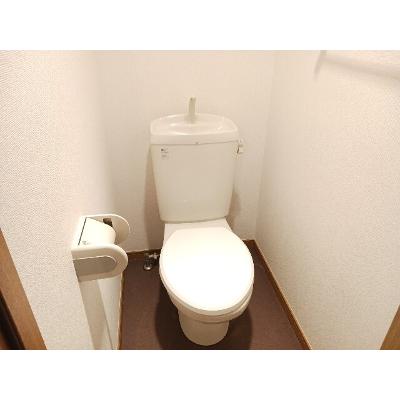 Ｐｕｌｉｔｏ 203【管理NO：1-012739001-02030】の物件画像