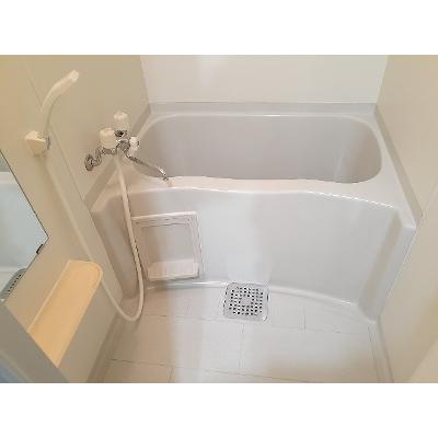 シャトー蓮池 203【管理NO：1-010231601-02030】 ★家具家電は申し込み後に搬入しますの物件画像