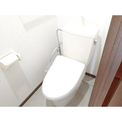 シャトー蓮池 203【管理NO：1-010231601-02030】 ★家具家電は申し込み後に搬入しますの物件画像