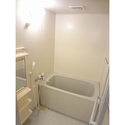 ベルメゾン 301【管理NO：1-010251901-03010】 2026年07月下旬入居可能の物件画像
