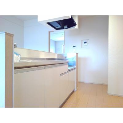 リアレーヴ 202【管理NO：1-019256901-02020】 2026年07月中旬入居可能の物件画像