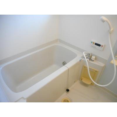 レスポアール 202【管理NO：1-013981201-02020】 ★家具家電は申し込み後に搬入します★の物件画像
